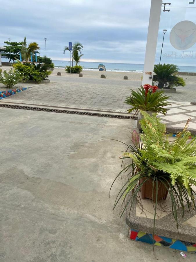 Whale House Hotel Puerto López エクステリア 写真