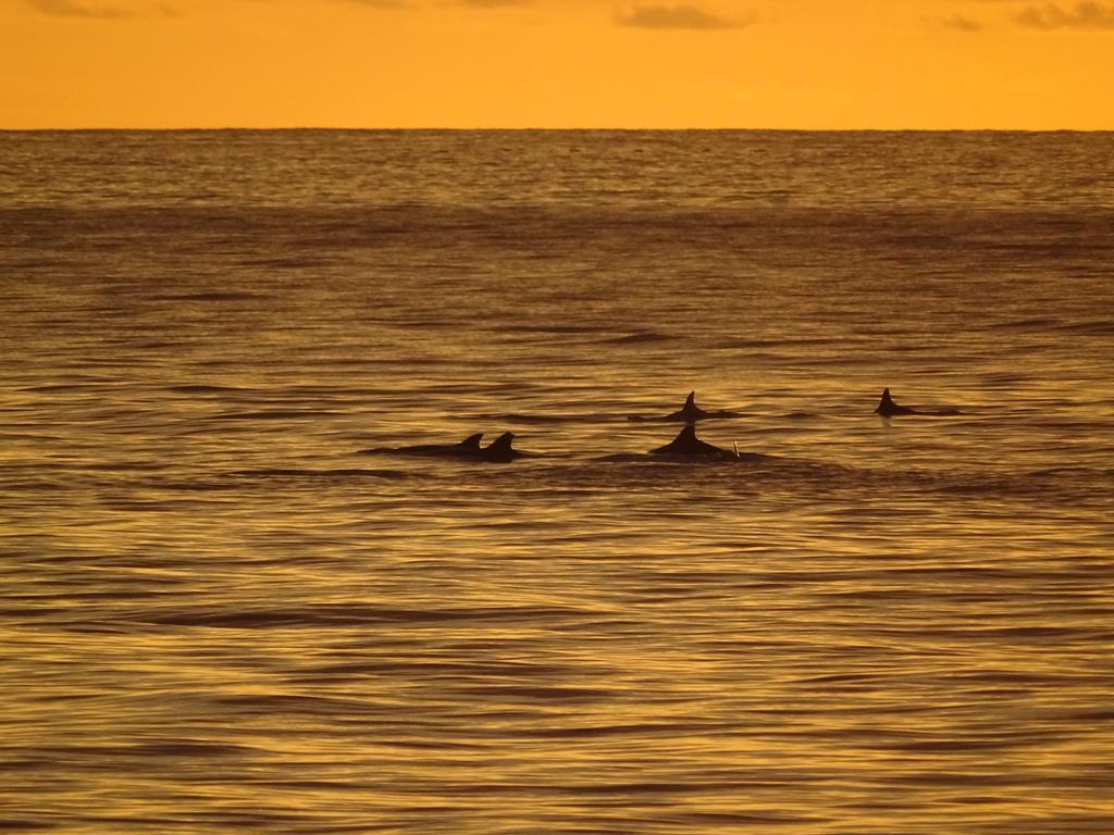 Whale House Hotel Puerto López エクステリア 写真