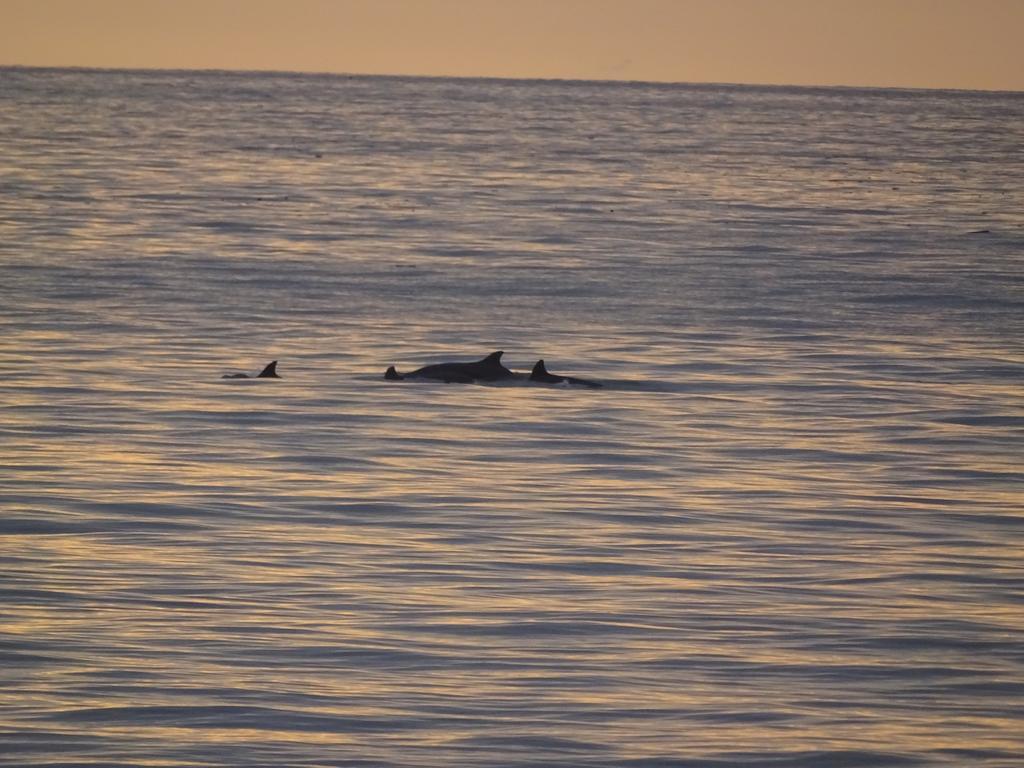 Whale House Hotel Puerto López エクステリア 写真